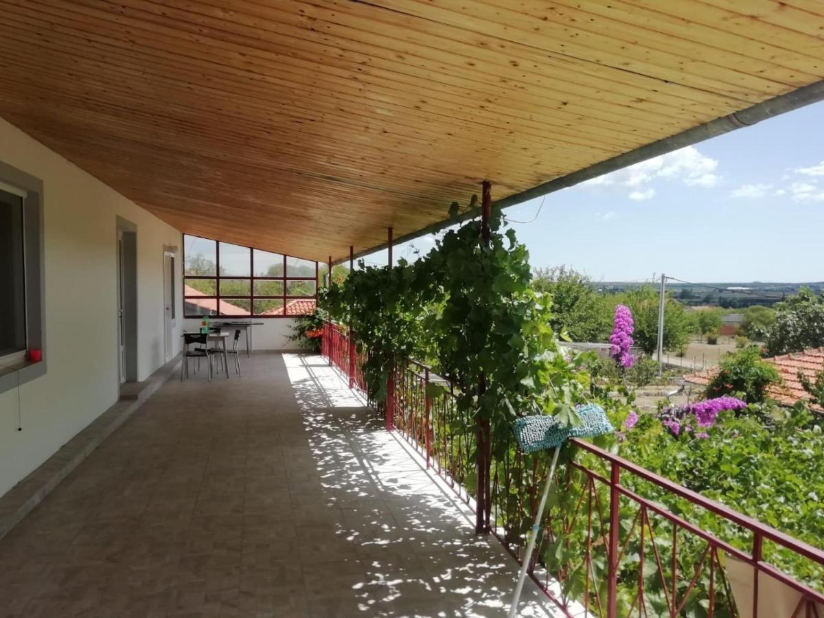 Appartement Elena à Benkovac Extérieur photo